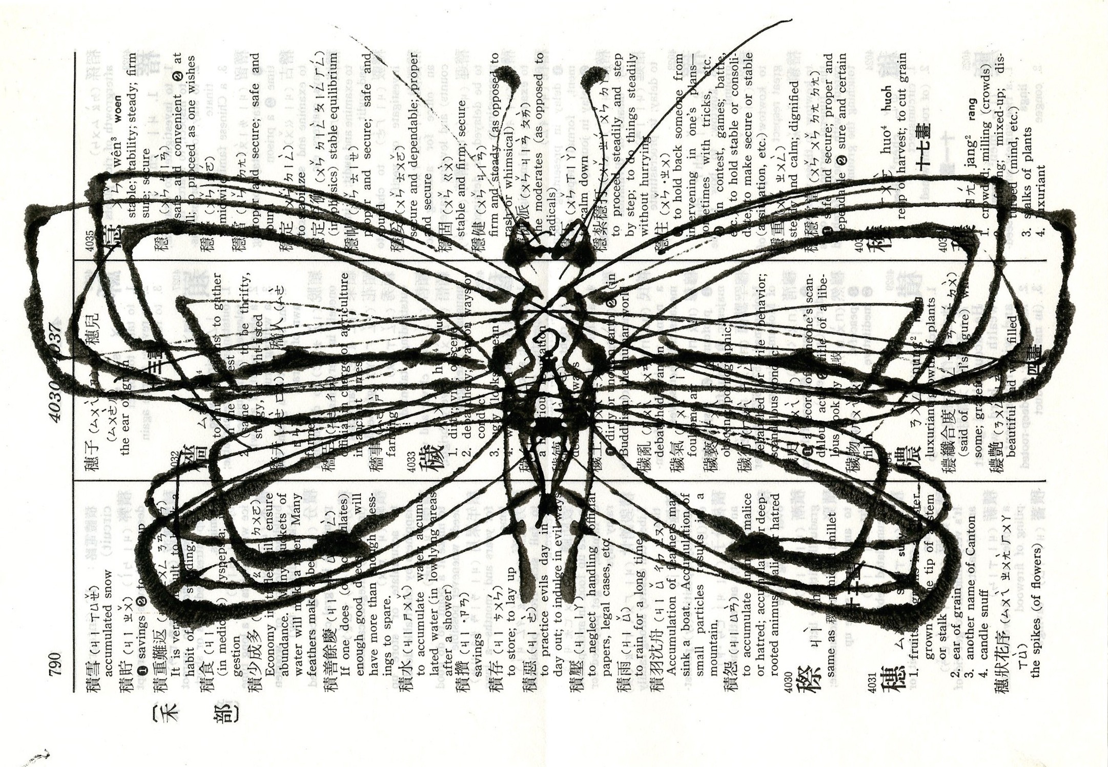 Chinese Moth 5 2017 5x7.25 ink on paper