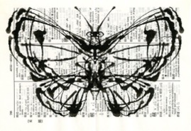 moth006.jpg