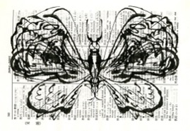 moth008.jpg