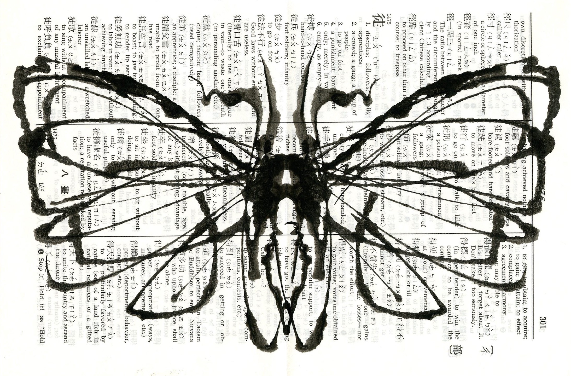 Chinese Moth 13 2017 5x7.25 ink on paper