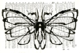 moth013.jpg