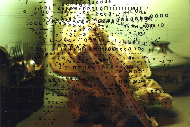 Polypore 2000 4x6 letraset and tape on photo