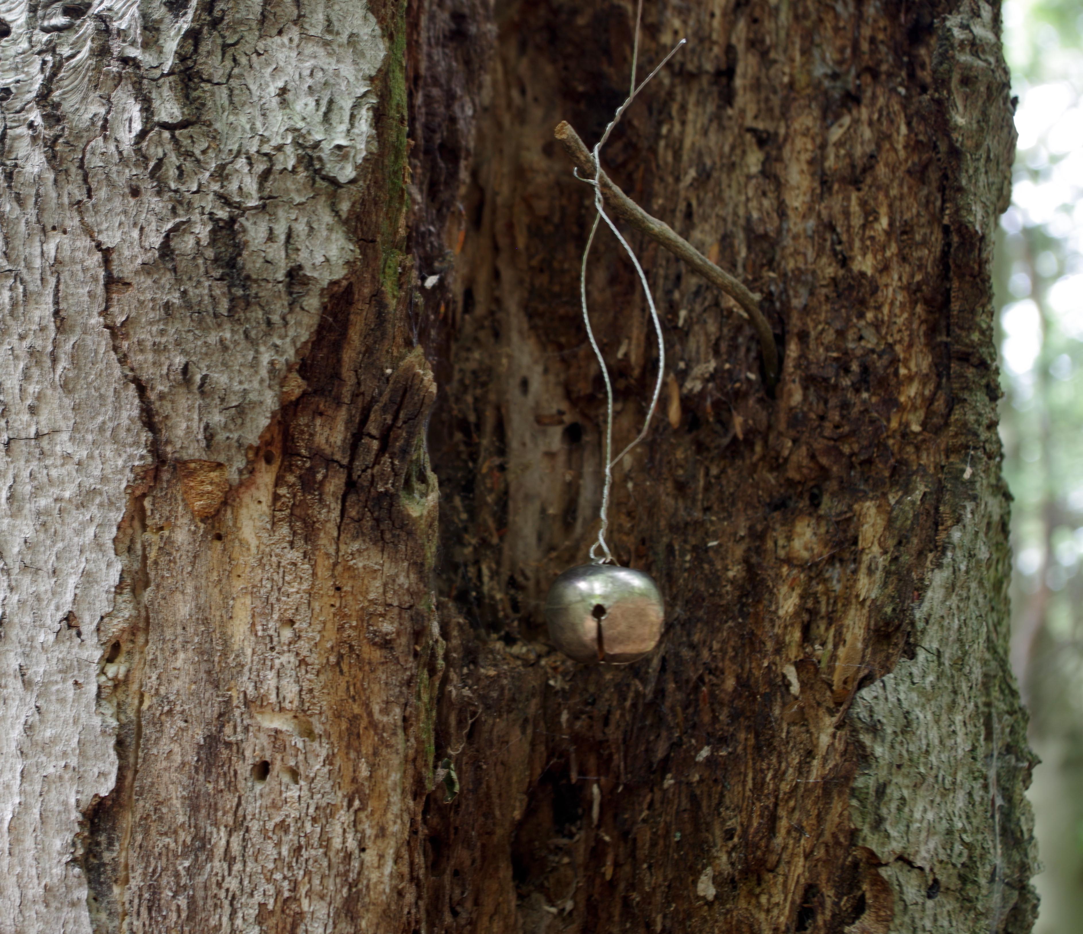 with hidden noise 2 43.519114,-72.926201 2019 assemblage with bell
