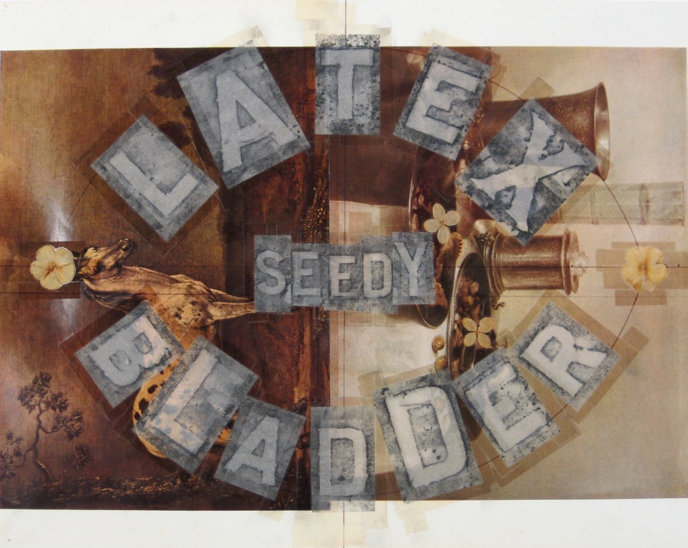 Seedy Latex Bladder 1999 12x16 graphite on collage