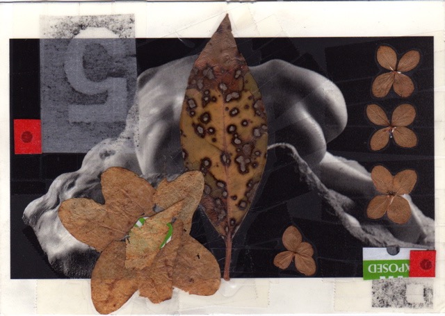 Titled Untitled 1999 4.25x6 collage