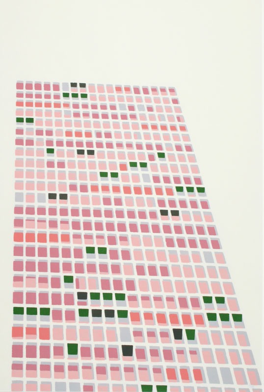 Hollerith (pink) 2011 33x22 acrylic on paper