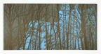 mckay2009_hansaviertelblauneu.JPG